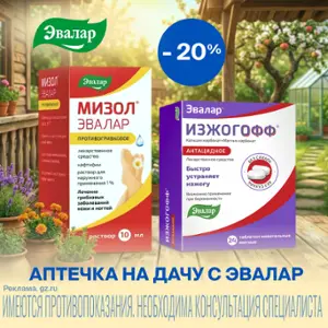 МИЗОЛ и ИЗЖОГОФФ от Эвалар со скидкой 20%